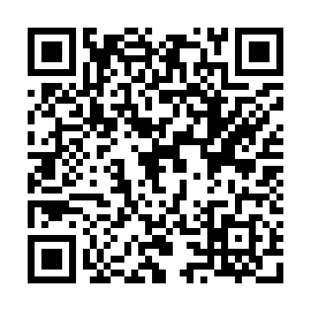 QR code for V339183