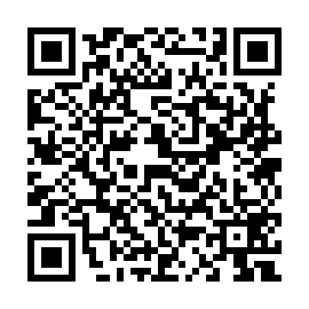 QR code for V339596
