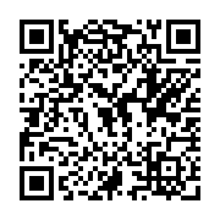 QR code for V376703