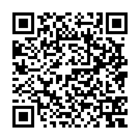 QR code for V380346