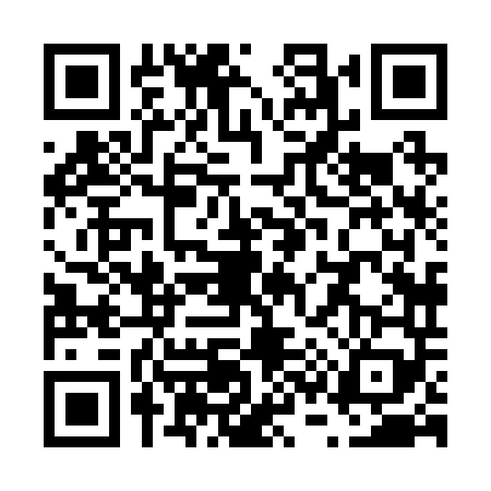 QR code for V382497