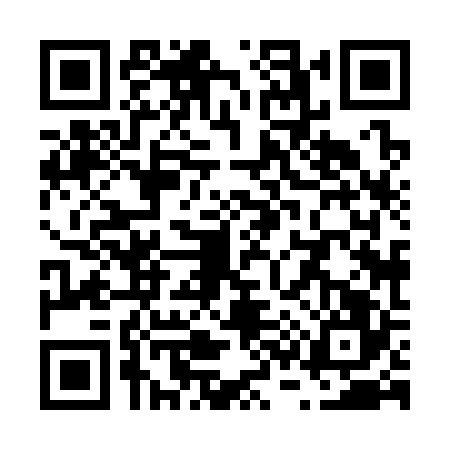 QR code for V383266