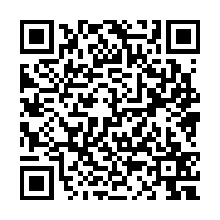 QR code for V383377