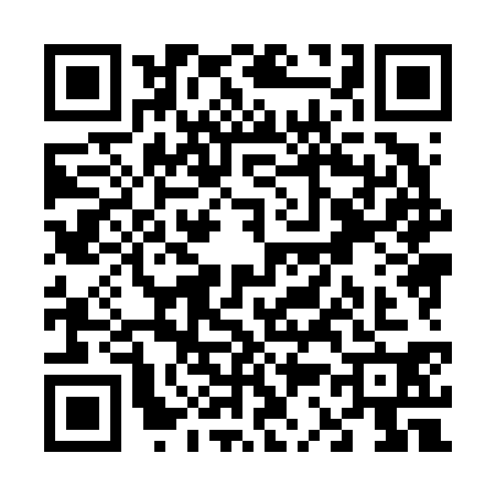 QR code for V386306