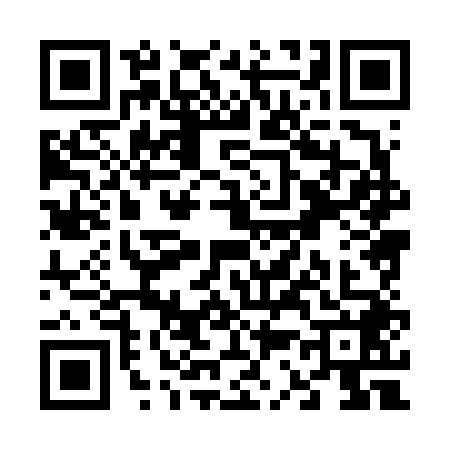QR code for V386480