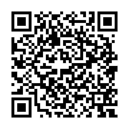 QR code for V386538