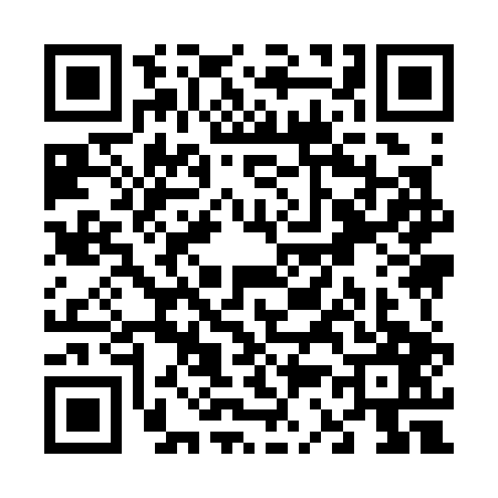 QR code for V393078