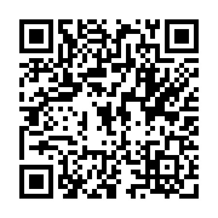 QR code for V393202