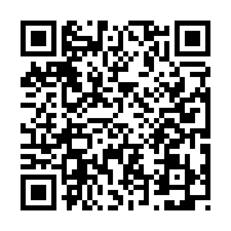 QR code for V400397