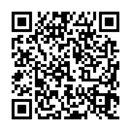 QR code for V413818