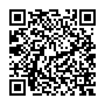 QR code for V423699
