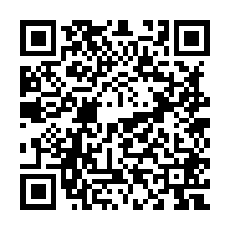 QR code for V438488
