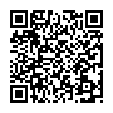 QR code for V448339