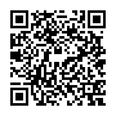 QR code for V450317