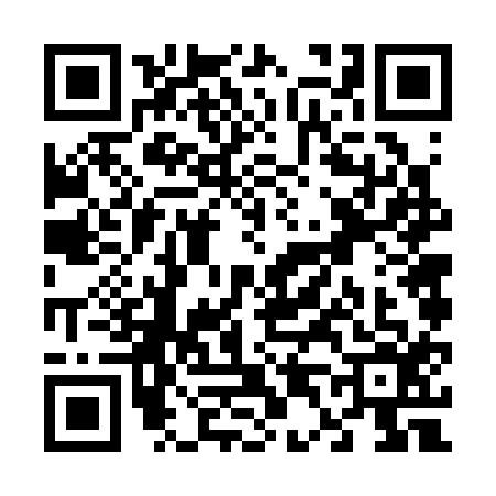 QR code for V463166