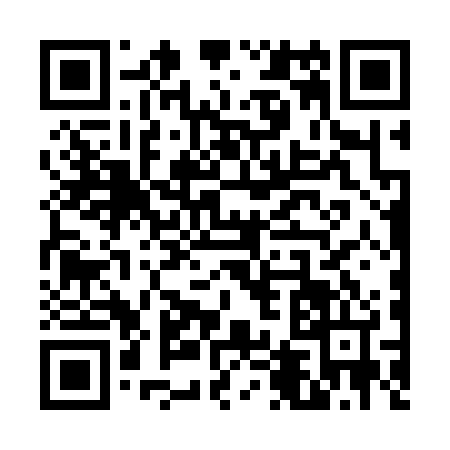 QR code for V463245