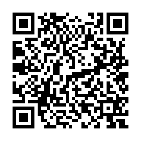 QR code for V479243