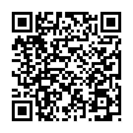 QR code for V486540