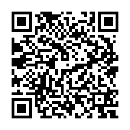 QR code for V496202