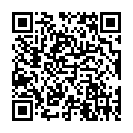 QR code for V497225