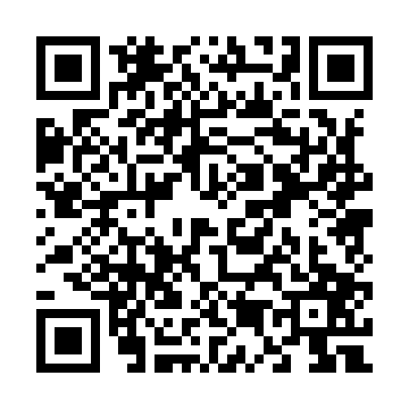 QR code for V509076