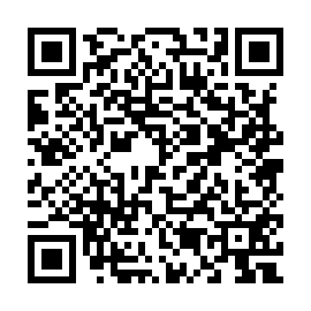 QR code for V509519