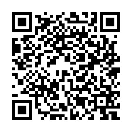 QR code for V511667