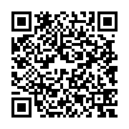 QR code for V540398