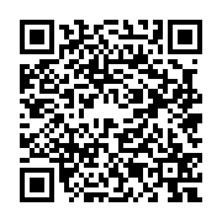 QR code for V550370