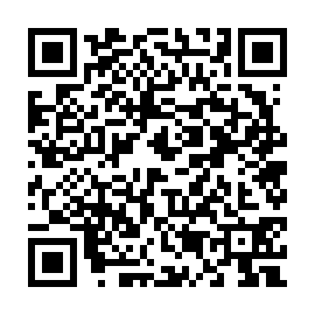 QR code for V576302