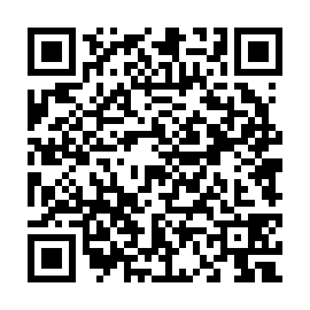 QR code for V642383