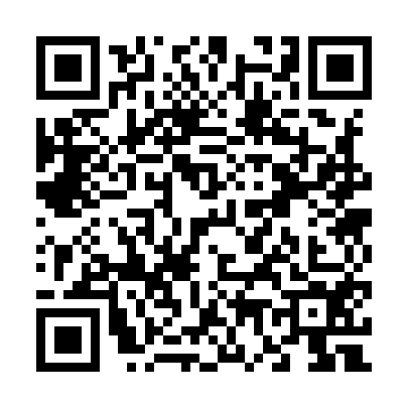 QR code for V739540