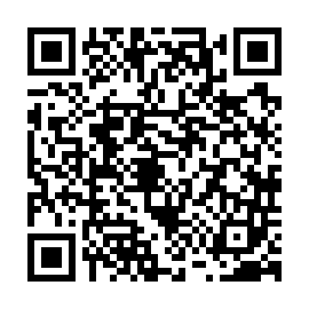 QR code for V787433