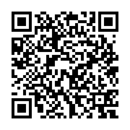 QR code for V833317
