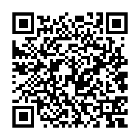 QR code for V863305