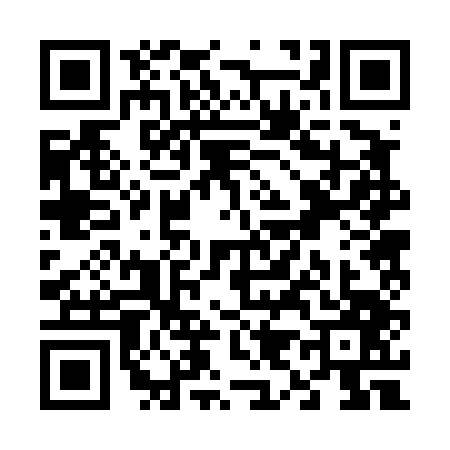 QR code for V924478