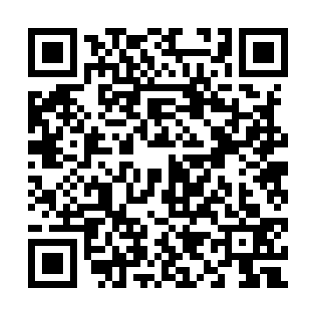 QR code for V929338