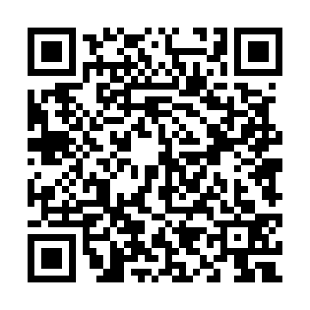 QR code for V945339