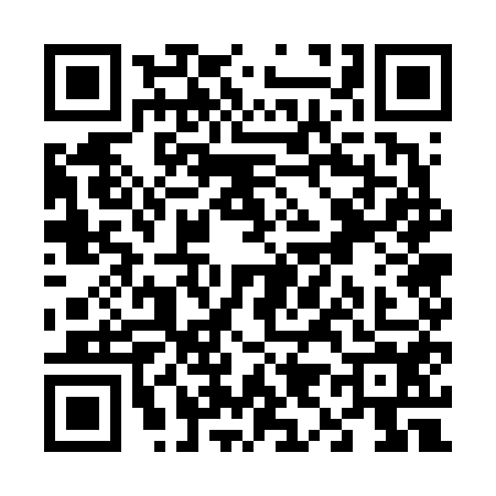 QR code for V976541