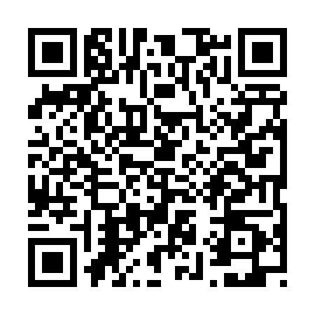 QR code for V994004