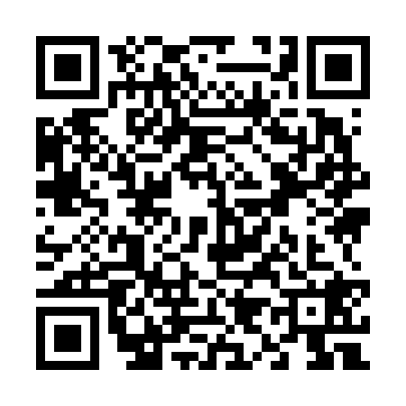 QR code for V996287