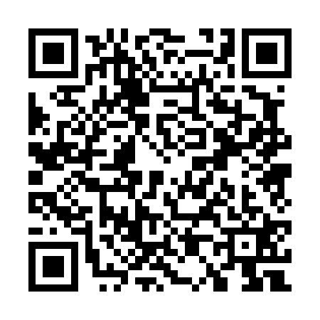 QR code for W004210
