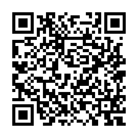 QR code for W011955