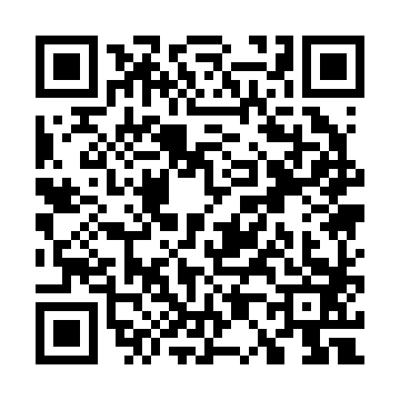 QR code for W012833