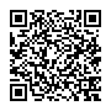 QR code for W017380