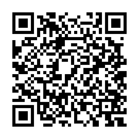 QR code for W020433