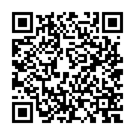QR code for W051667