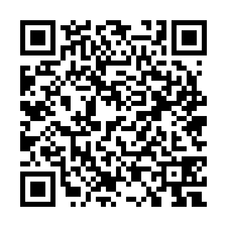 QR code for W052384