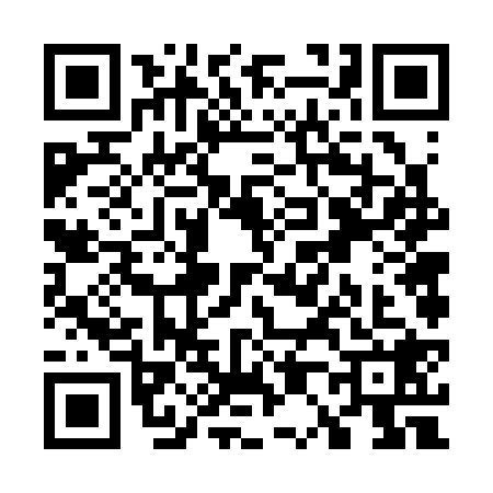 QR code for W063282