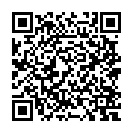 QR code for W090437